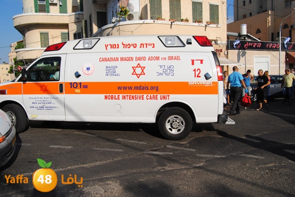 shejar hit guy 811 (5).JPG